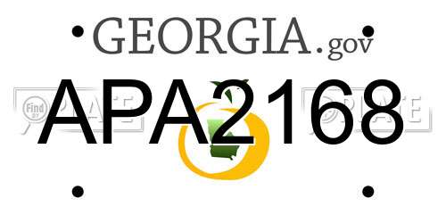 APA2168 Georgia License Plate