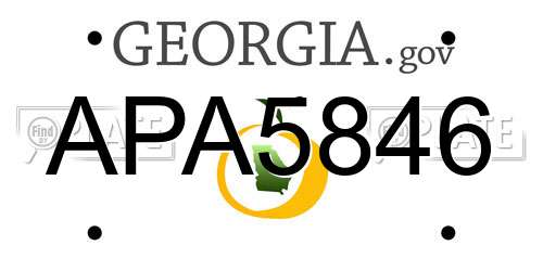 APA5846 Georgia License Plate