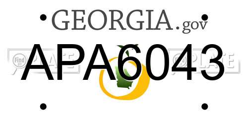 APA6043 Georgia License Plate