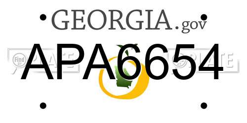 APA6654 Georgia License Plate