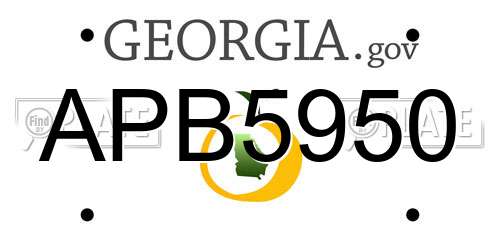 APB5950 Georgia License Plate