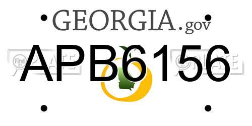 APB6156 Georgia License Plate