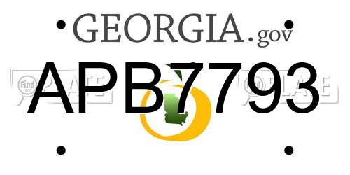 APB7793 Georgia License Plate