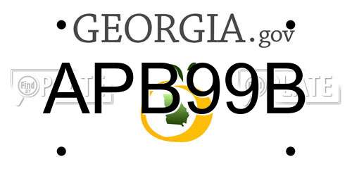 APB99B Georgia License Plate