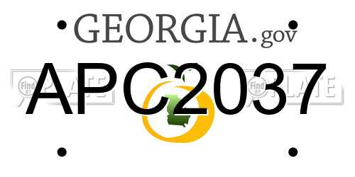 APC2037 Georgia License Plate