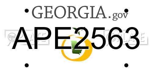 APE2563 Georgia License Plate