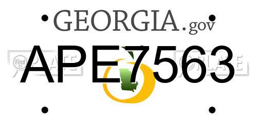 APE7563 Georgia License Plate