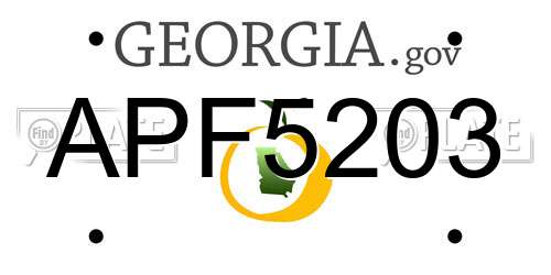 APF5203 Georgia License Plate
