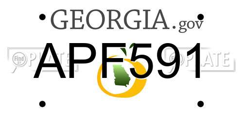 APF591 Georgia License Plate