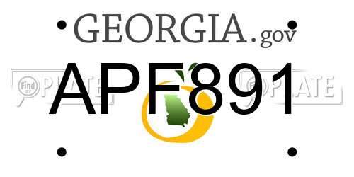APF891 Georgia License Plate