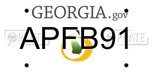 APFB91 Georgia License Plate