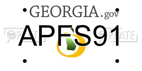 APFS91 Georgia License Plate