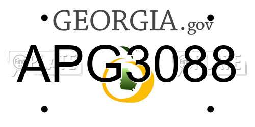 APG3088 Georgia License Plate