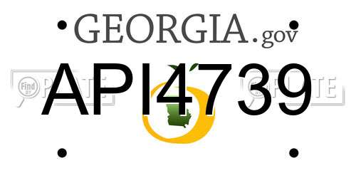 API4739 Georgia License Plate
