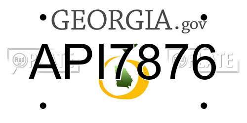 API7876 Georgia License Plate