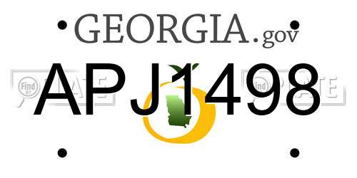 APJ1498 Georgia License Plate