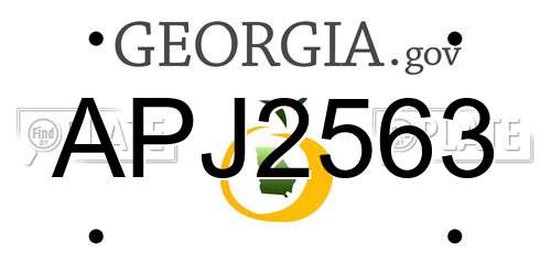 APJ2563 Georgia License Plate