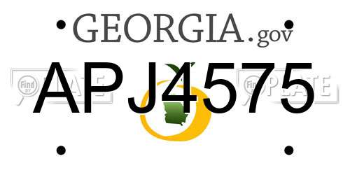 APJ4575 Georgia License Plate