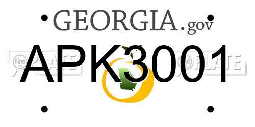 APK3001 Georgia License Plate