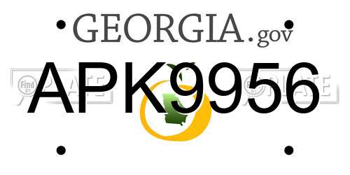 APK9956 Georgia License Plate