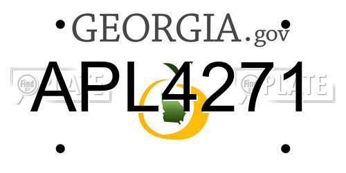 APL4271 Georgia License Plate