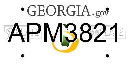 APM3821 Georgia License Plate