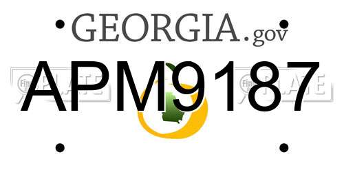 APM9187 Georgia License Plate