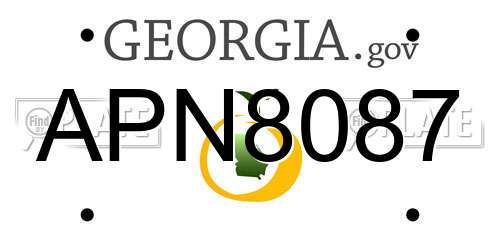 APN8087 Georgia License Plate