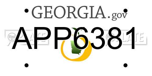 APP6381 Georgia License Plate