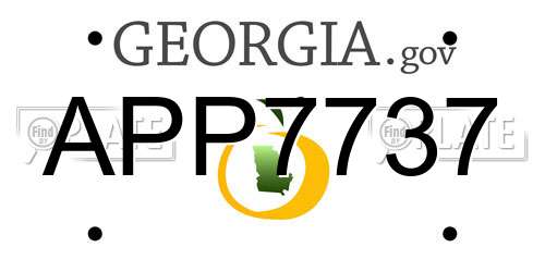 APP7737 Georgia License Plate