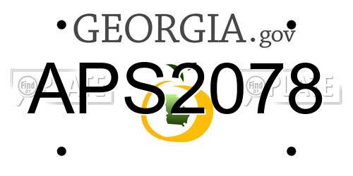 APS2078 Georgia License Plate