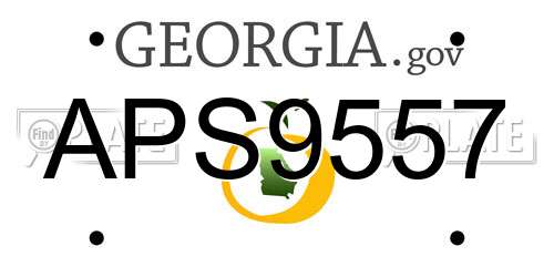 APS9557 Georgia License Plate