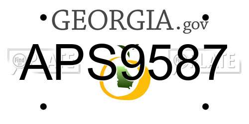 APS9587 Georgia License Plate