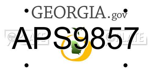 APS9857 Georgia License Plate