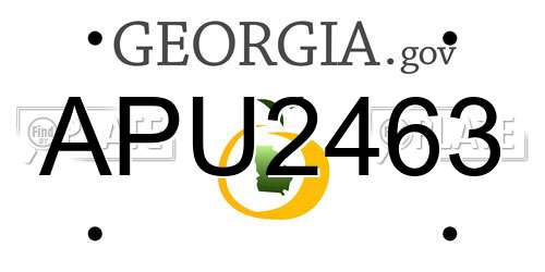 APU2463 Georgia License Plate