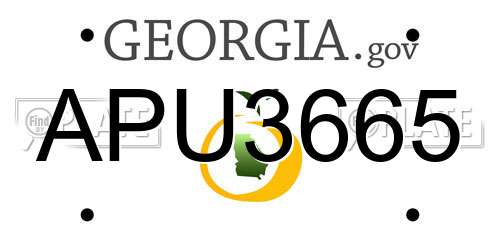 APU3665 Georgia License Plate