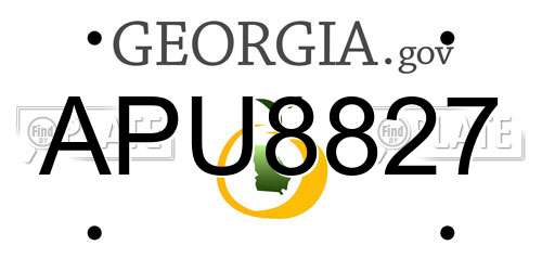 APU8827 Georgia License Plate