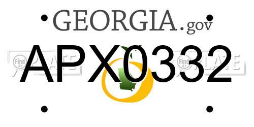 APX0332 Georgia License Plate