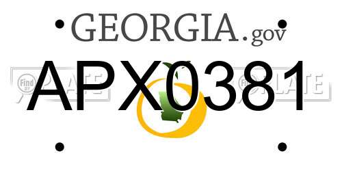 APX0381 Georgia License Plate
