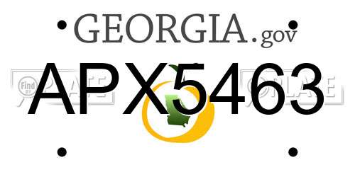APX5463 Georgia License Plate