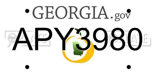 APY3980 Georgia License Plate