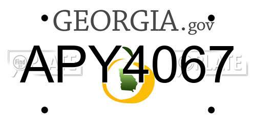 APY4067 Georgia License Plate
