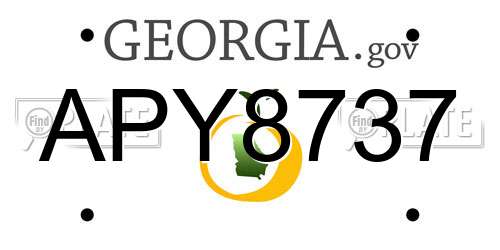 APY8737 Georgia License Plate