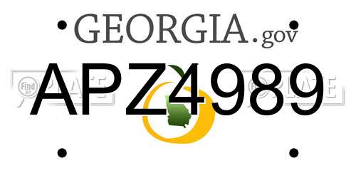 APZ4989 Georgia License Plate