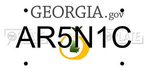 AR5N1C Georgia License Plate