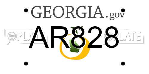 AR828 Georgia License Plate