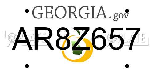 AR8Z657 Georgia License Plate