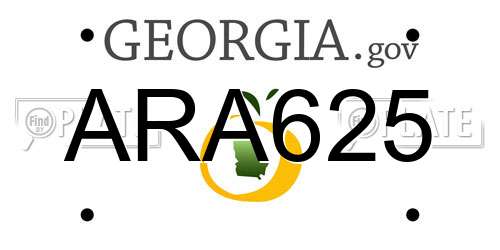 ARA625 Georgia License Plate