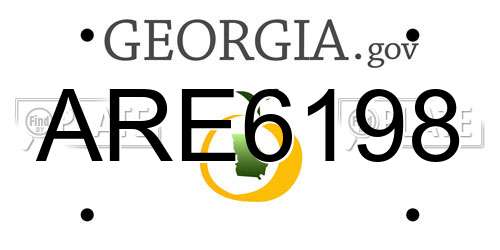 ARE6198 Georgia License Plate