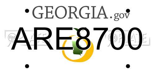 ARE8700 Georgia License Plate